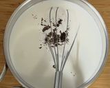 Foto del passaggio 4 della ricetta Panna Cotta al Latte Condensato