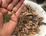 Foto del paso 1 de la receta: Croquetas de jurel y atún