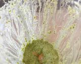 Foto del paso 3 de la receta: Salsa de Cilantro