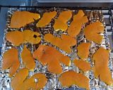 Foto del paso 2 de la receta: Piel de naranja en polvo