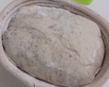 Foto langkah ke 10 dari resep Spekuk Craisin Sourdough Bread.