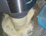 Foto del passaggio 3 della ricetta Impasto pizza, metodo diretto con maturazione 24 ore, 75% idro