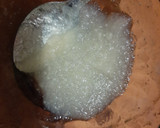 Foto del paso 4 de la receta: Panna cotta de coco
