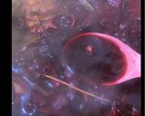 A picture of step 2 of Zobo Drink.