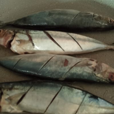 Langkah 1