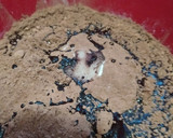 Foto del paso 1 de la receta: Torta húmeda de chocolate con cubierta. Medio kilo