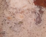 A picture of step 10 of Mutton Pulao.