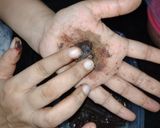 A picture of step 5 of Unique Condensed Chocolate Truffles.