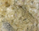 A picture of step 6 of Karela Bharta / karlyache Bharit / bitterguord bharta.