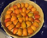 Une image de l'étape 3 de Tarte aux abricots (pâte brisée aux deux farines et lait).