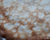 Foto del paso 1 de la receta: Canelones de acelga con yogurt griego a la boloñesa