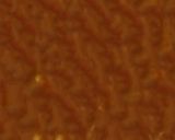 A picture of step 3 of Bun kaleji.