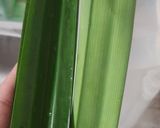 Foto langkah ke 1 dari resep Buko Pandan.
