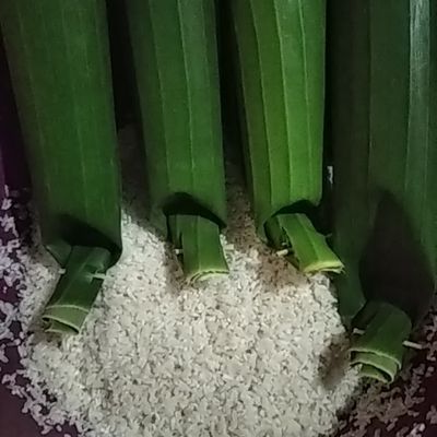 Langkah 1