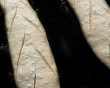 Foto del paso 8 de la receta Barra de pan