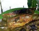 Foto langkah ke 4 dari resep Pepes bakar (ikan kembung).