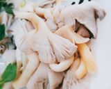 Hình bước làm 1 của món Gỏi nấm sò