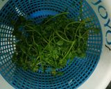 चटपटी हरी चटनी (Chatpati green Chutney recipe in hindi) रेसिपी चरण 1 फोटो