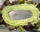 Une image de l'étape 9 de Salade composée au concombre, tomates, feuille de chêne et oignon rouge.
