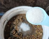 Foto langkah ke 2 dari resep Bubur Kacang Hijau simpel-enak 2022-09.