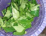 Foto langkah ke 1 dari resep Plencing Glandir Semarangan Ala Emak Salsa.