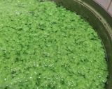 Foto langkah ke 1 dari resep Puding Lumut Pandan Coklat.