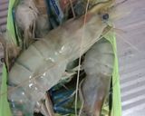 Foto langkah ke 1 dari resep Udang Galah Saus Tiram (Mudah&Cepat!).