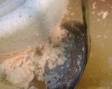 A picture of step 10 of Homemade Sauerkraut (Brine method for whole, half or quartered cabbage).