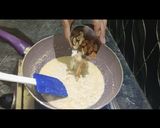 A picture of step 3 of Kaddu ki kheer.