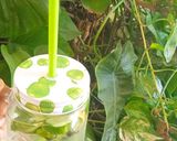 A picture of step 2 of Cucumber Mint Detox Drink.