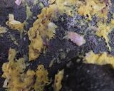Foto langkah ke 2 dari resep Bihun goreng.