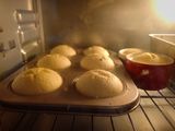 Cupcake sữa chua