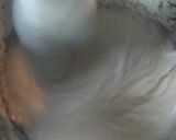 Foto del paso 4 de la receta: Gaznate