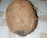 A picture of step 1 of #Coconut_Milk_Tea😋😋😋.