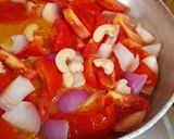 शाही पनीर (shahi paneer recipe in Hindi) रेसिपी चरण 2 फोटो