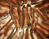 Foto del paso 7 de la receta: Anchoas a la sal y aceite de oliva