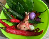 Foto langkah ke 1 dari resep Lodeh Pepaya Kacang Tolo.