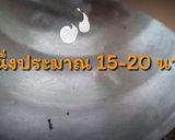 รูปขั้นตอนการทำที่ 12 ของ ไข่ตุ๋นเห็ดนางฟ้า