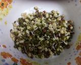 A picture of step 2 of Sprouts Basket Chat.