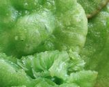 Foto langkah ke 5 dari resep Kue Cucur Pandan.