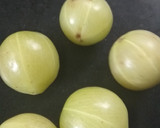 આમળાનો જ્યુસ(Amla juice recipe in gujarati) રેસીપી સ્ટેપ1ફોટો