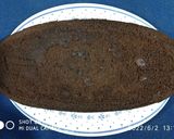 Foto langkah ke 3 dari resep Brownies Chocolatos Ekonomis Serba 6 Sendok.