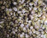 Moong sprout recipe step 1 photo