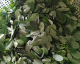 Foto langkah ke 1 dari resep Bobor daun kelor.