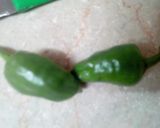A picture of step 17 of Daleem.