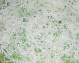 Foto langkah ke 5 dari resep Martabak manis teflon anti gagal.