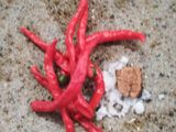 Asinan buah