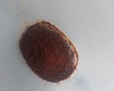 Foto langkah ke 2 dari resep Kopi Santan (Coconut Milk Coffee).
