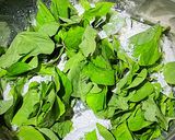 Foto langkah ke 2 dari resep Bayam Krispi AKA Crispy Spinach ala Yoshinoya.