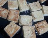 Hot and Sweet Tofu recipe step 1 photo